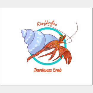 Dardanus Crab Posters and Art